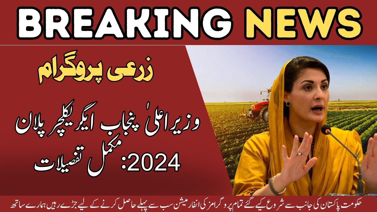 Chief Minister Punjab Agriculture Plan 2024