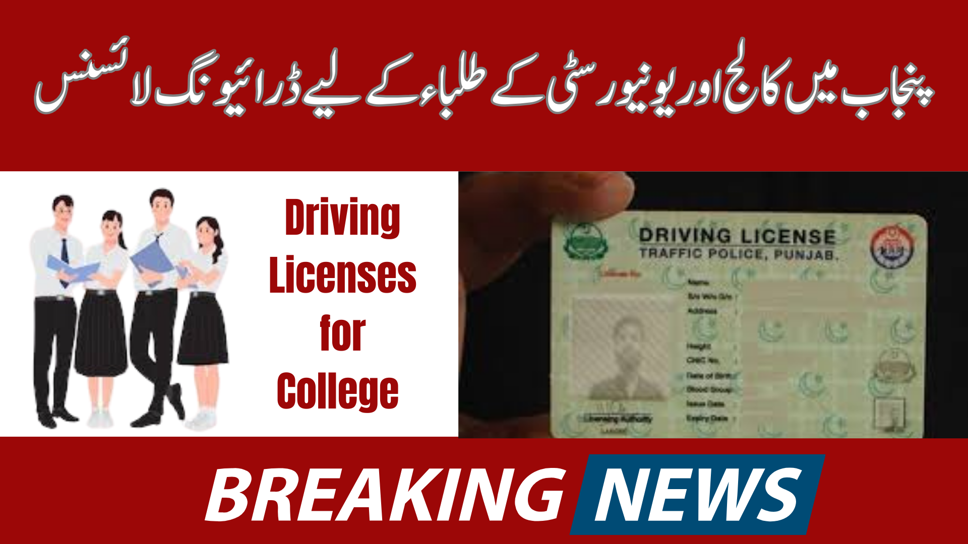 Driving Licenses